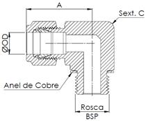 Catálogos